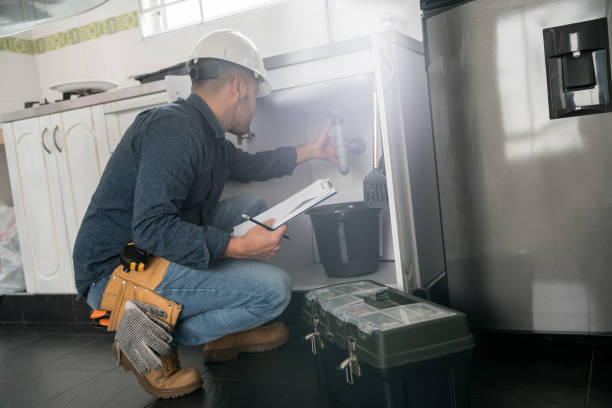 Best Local Plumber Services  in Carleton, MI