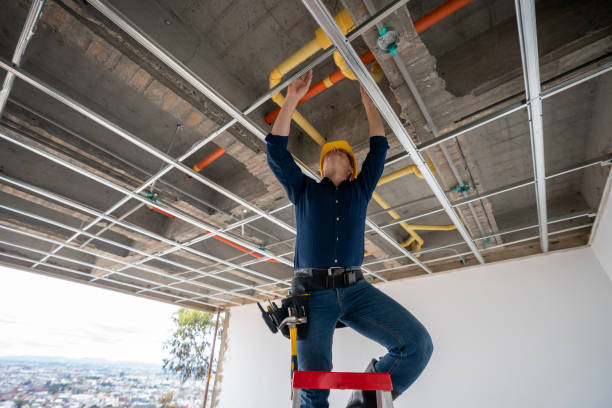 Trusted Carleton, MI Plumbing Experts