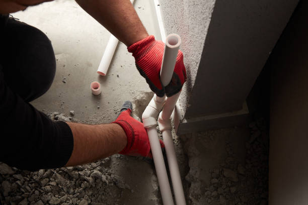  Carleton, MI Plumbing Pros