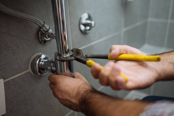 Best Same-Day Plumbing Service  in Carleton, MI