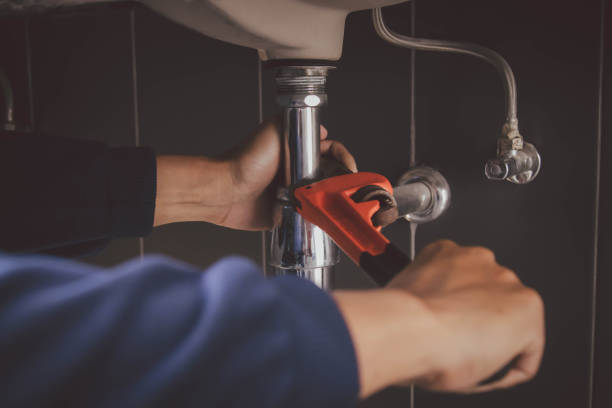 Best Emergency Plumber  in Carleton, MI