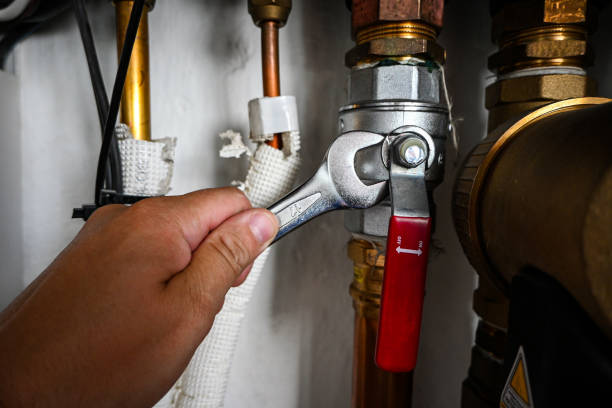 Best Faucet Repair  in Carleton, MI